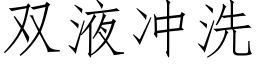 雙液沖洗 (仿宋矢量字庫)