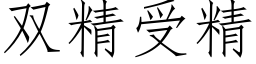 雙精受精 (仿宋矢量字庫)