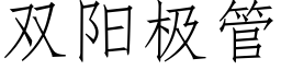 雙陽極管 (仿宋矢量字庫)