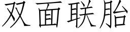 雙面聯胎 (仿宋矢量字庫)