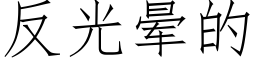 反光暈的 (仿宋矢量字庫)