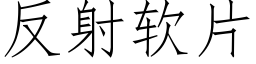 反射軟片 (仿宋矢量字庫)