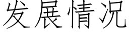 發展情況 (仿宋矢量字庫)