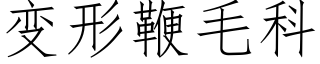 變形鞭毛科 (仿宋矢量字庫)
