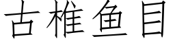 古椎鱼目 (仿宋矢量字库)