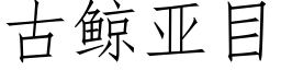 古鲸亚目 (仿宋矢量字库)