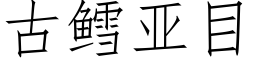 古鳕亞目 (仿宋矢量字庫)