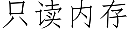 只读内存 (仿宋矢量字库)