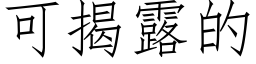 可揭露的 (仿宋矢量字库)