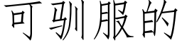 可驯服的 (仿宋矢量字库)