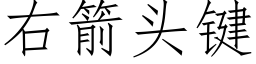 右箭頭鍵 (仿宋矢量字庫)