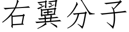 右翼分子 (仿宋矢量字庫)