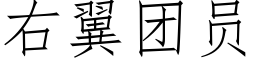 右翼团员 (仿宋矢量字库)