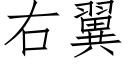 右翼 (仿宋矢量字库)