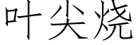 叶尖烧 (仿宋矢量字库)