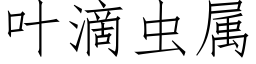 葉滴蟲屬 (仿宋矢量字庫)