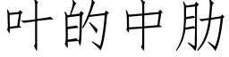 叶的中肋 (仿宋矢量字库)