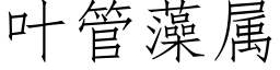 叶管藻属 (仿宋矢量字库)