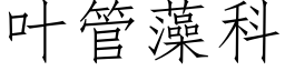 叶管藻科 (仿宋矢量字库)