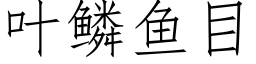 葉鱗魚目 (仿宋矢量字庫)