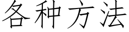 各種方法 (仿宋矢量字庫)