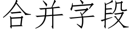 合并字段 (仿宋矢量字库)