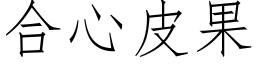 合心皮果 (仿宋矢量字库)