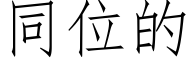 同位的 (仿宋矢量字库)