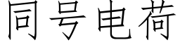 同号电荷 (仿宋矢量字库)