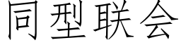 同型联会 (仿宋矢量字库)