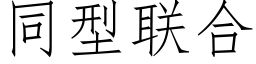 同型聯合 (仿宋矢量字庫)