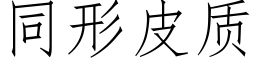 同形皮質 (仿宋矢量字庫)