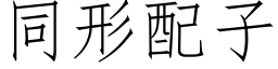 同形配子 (仿宋矢量字庫)