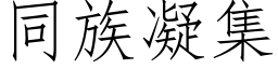 同族凝集 (仿宋矢量字庫)