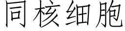 同核细胞 (仿宋矢量字库)