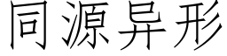 同源異形 (仿宋矢量字庫)