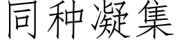 同種凝集 (仿宋矢量字庫)