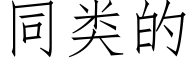 同類的 (仿宋矢量字庫)