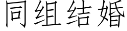 同組結婚 (仿宋矢量字庫)