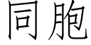 同胞 (仿宋矢量字庫)