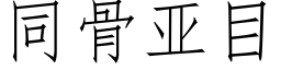 同骨亞目 (仿宋矢量字庫)