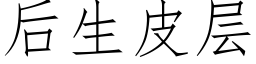 后生皮层 (仿宋矢量字库)