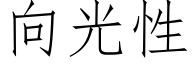 向光性 (仿宋矢量字庫)