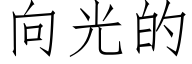 向光的 (仿宋矢量字庫)