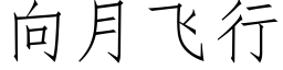 向月飛行 (仿宋矢量字庫)