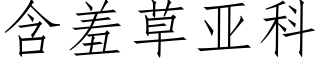 含羞草亞科 (仿宋矢量字庫)
