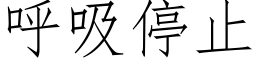 呼吸停止 (仿宋矢量字庫)