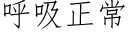 呼吸正常 (仿宋矢量字庫)