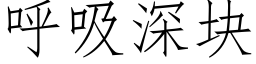 呼吸深塊 (仿宋矢量字庫)