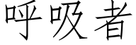 呼吸者 (仿宋矢量字库)